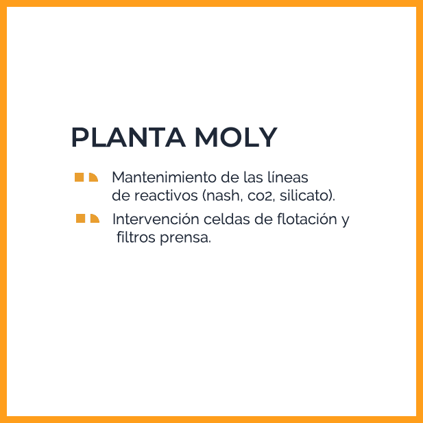 Planta Moly